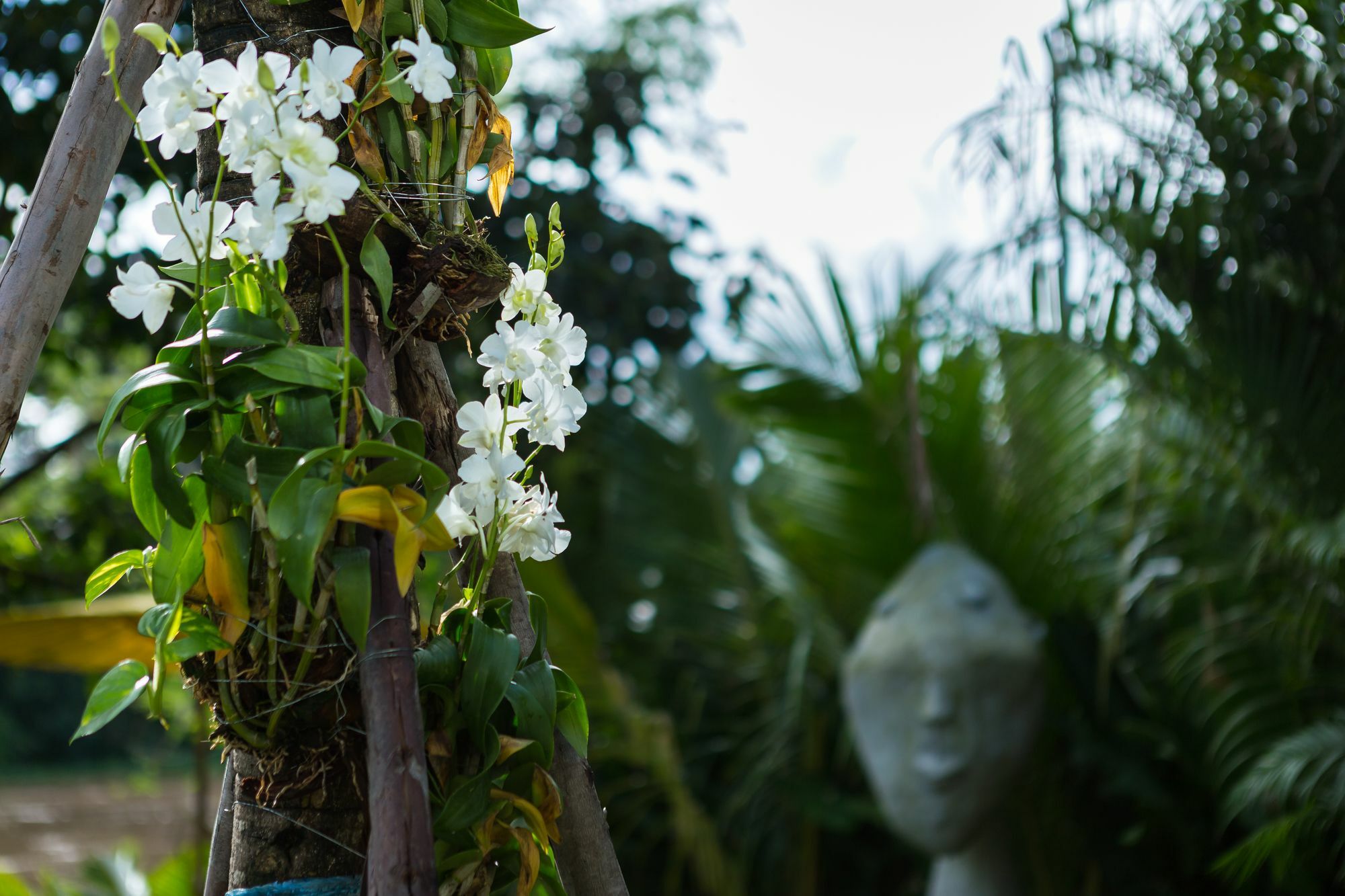 River Art Hotel Chiang Mai Exterior foto